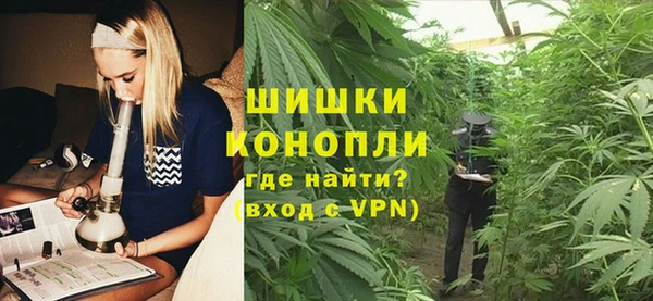 трава Арсеньев