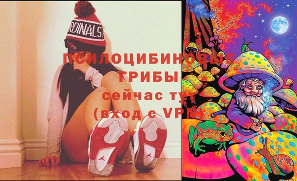 apvp Армянск